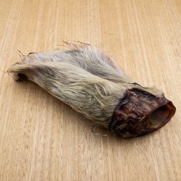 Cow Ears - Give Paws