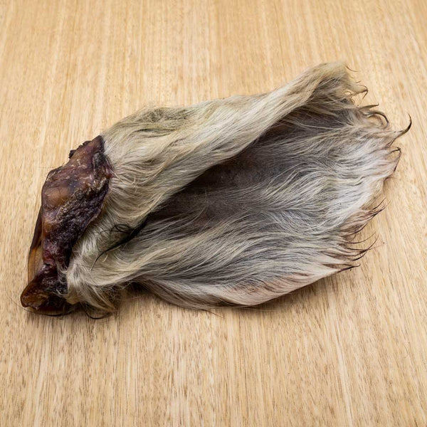 Cow Ears - Give Paws