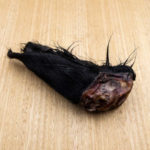 Cow Ears - Give Paws