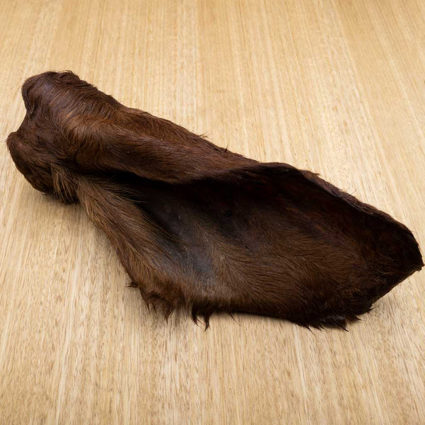 Cow Ears - Give Paws