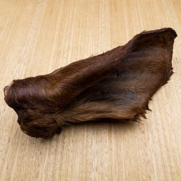 Cow Ears - Give Paws