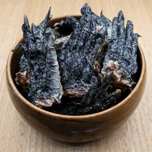 Crocodile Feet - Give Paws