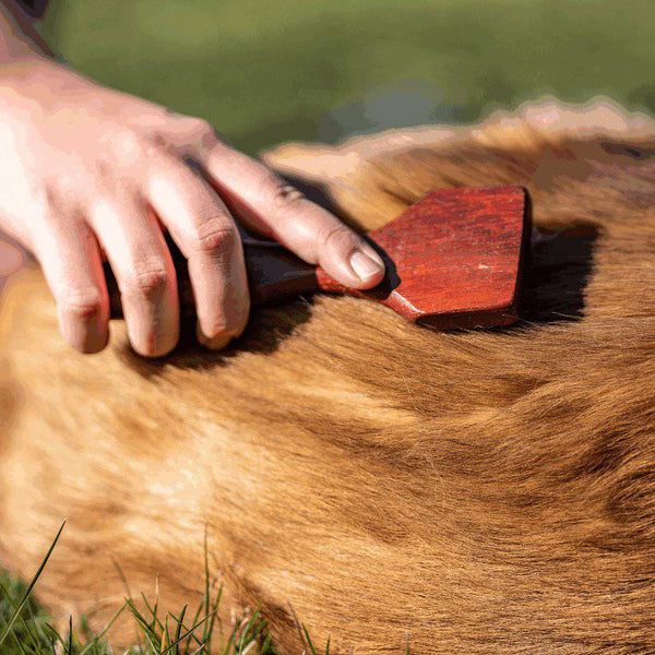 Herm Sprenger Grooming Rake, 3-Rows - Give Paws