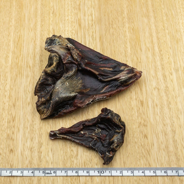 Kangaroo Tendon Bulbs - Give Paws