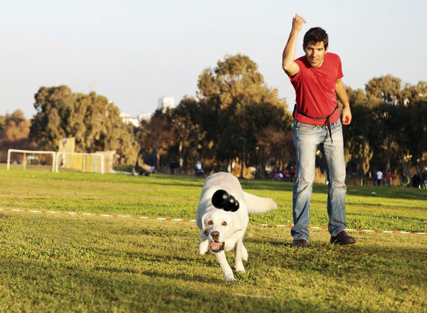 KONG Extreme - Give Paws