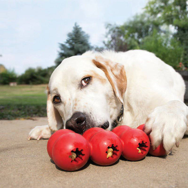 KONG Goodie Ribbon - Give Paws