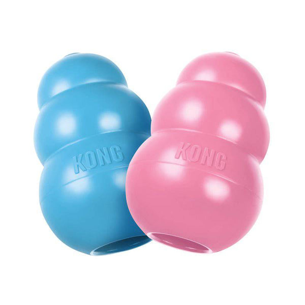 KONG Puppy - Give Paws