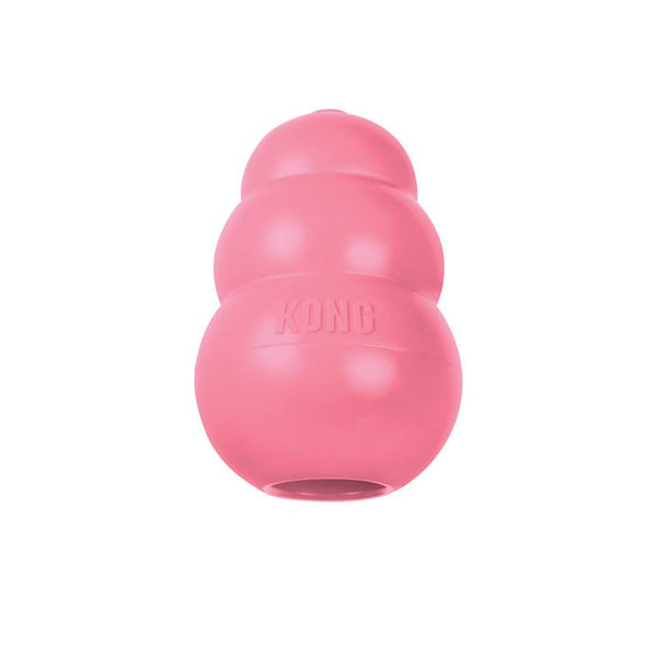 KONG Puppy - Give Paws