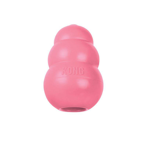 KONG Puppy - Give Paws