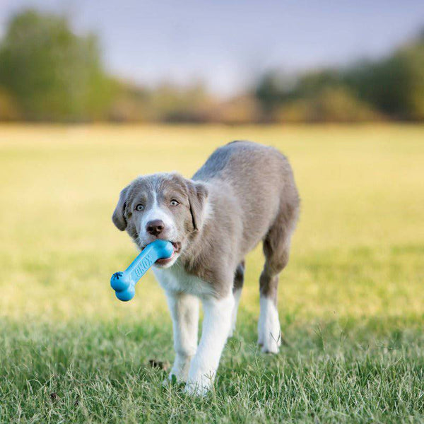KONG Puppy Goodie Bone - Give Paws