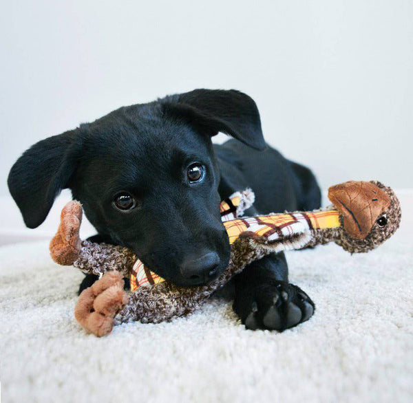 KONG Shakers Luvs Elephant - Give Paws