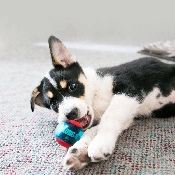 KONG Squeezz Action Ball Red - 3 Pack - Give Paws