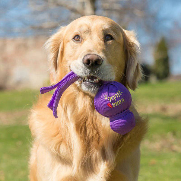 KONG Wubba - Give Paws