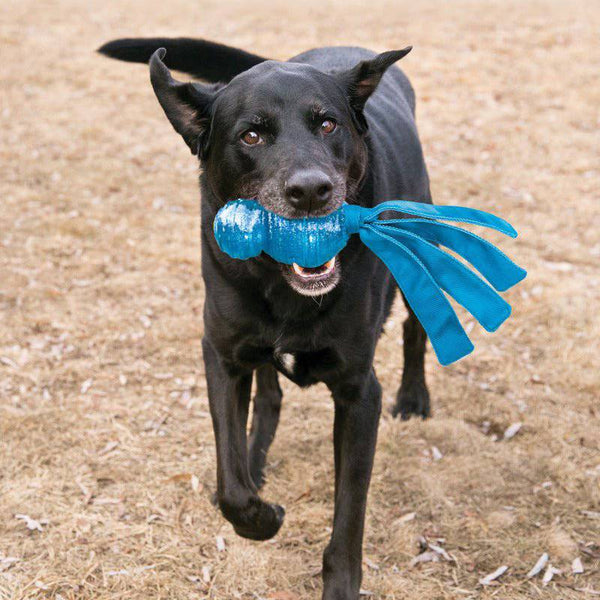 KONG Wubba Comet - Give Paws