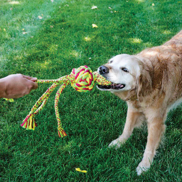 KONG Wubba Weaves with Rope - Give Paws