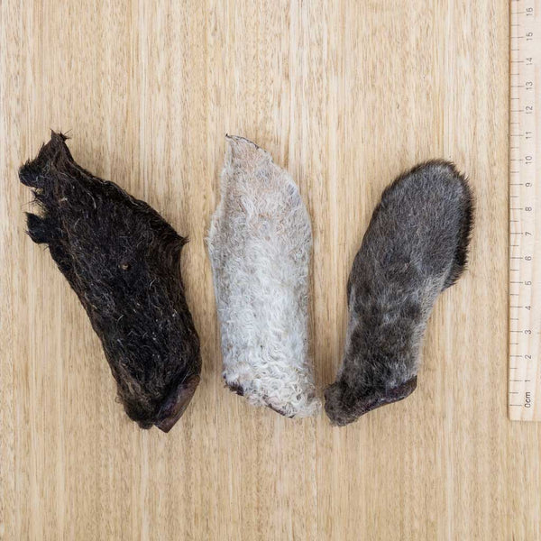 Lamb Ears - Give Paws