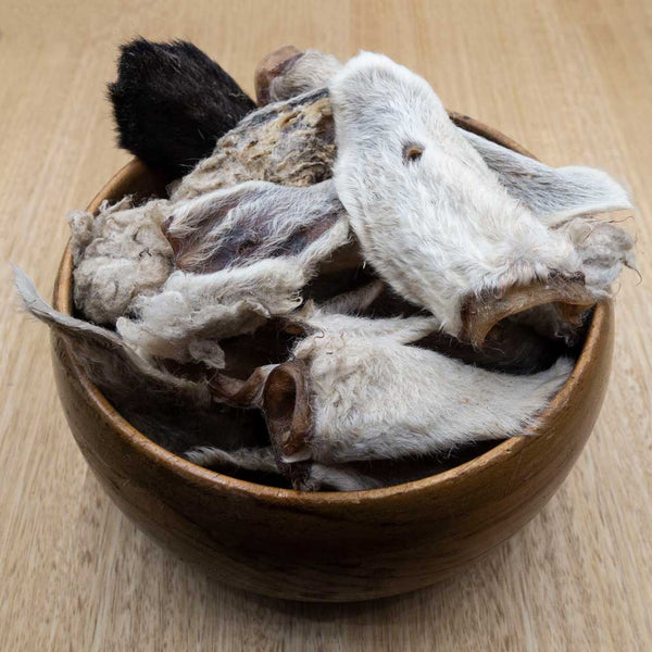 Lamb Ears - Give Paws