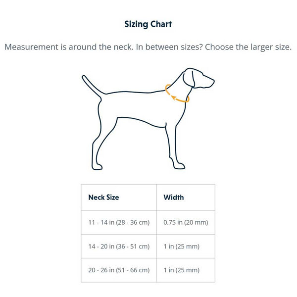 Ruffwear Crag Reflective Dog Collar - Give Paws