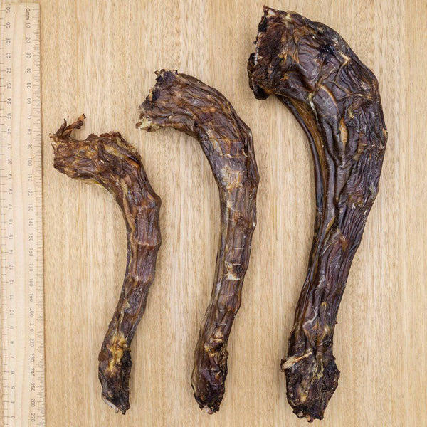 Turkey Necks - Give Paws