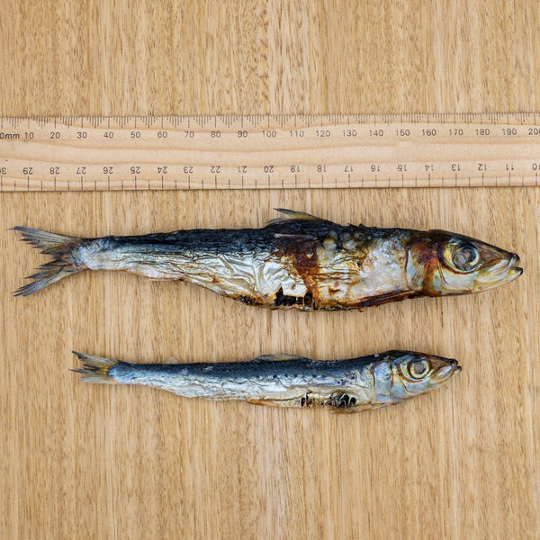 Whole Dried Sardines - Give Paws
