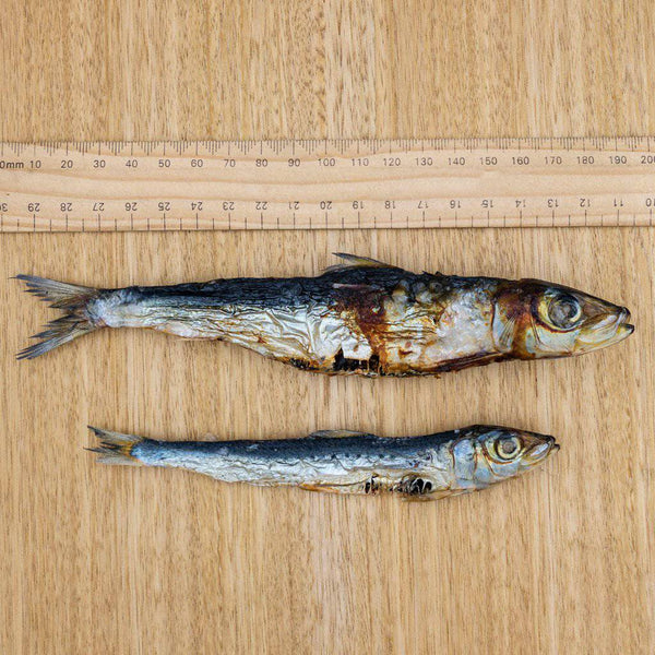 Australian natural fish snack for dogs and cats