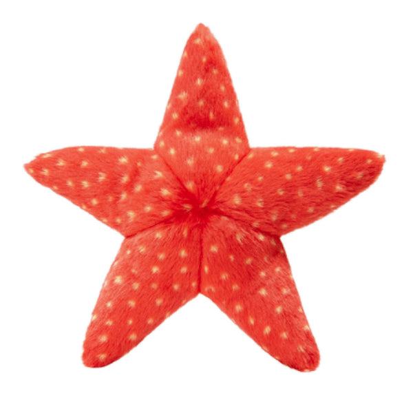 Ziggy Starfish - Medium - Give Paws