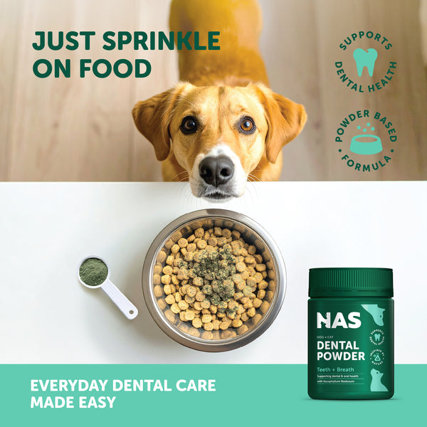 Natural Animal Solutions Dental Powder - Give Paws