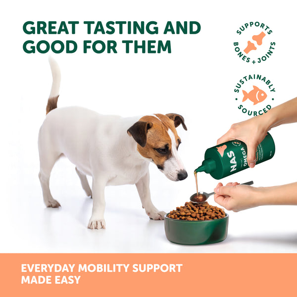 Natural Animal Solutions Omega Oil - Salmon - Give Paws