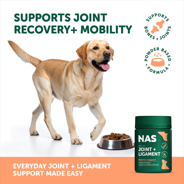 Natural Animal Solutions Joint + Ligament - Give Paws