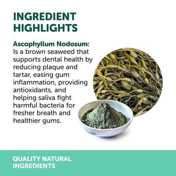 Natural Animal Solutions Dental Powder - Give Paws