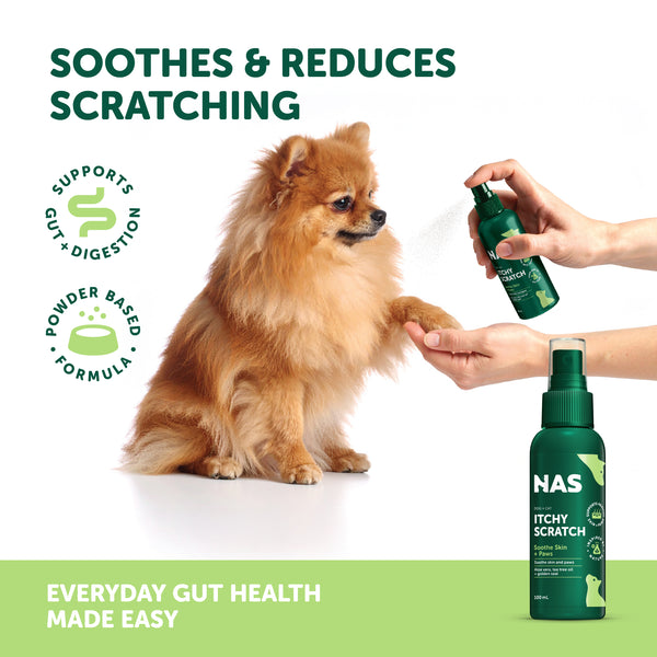 Natural Animal Solutions Itchy Scratch - Give Paws