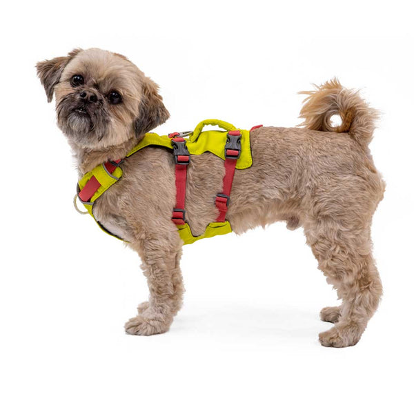 Ruffwear Flagline Dog Harness with Handle