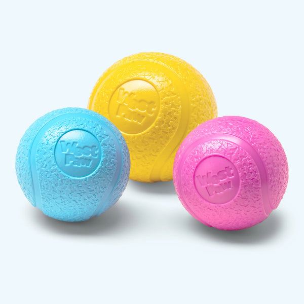 West Paw Boundr - Large