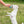 West Paw Boundr - Large