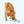 West Paw Boundr - 2 Pack