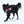 West Paw Boundr - 2 Pack