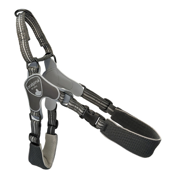 Coralpina Fiames Reflective Harness