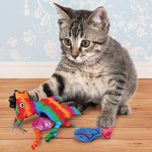 KONG Pinata Pull-A-Part - Give Paws