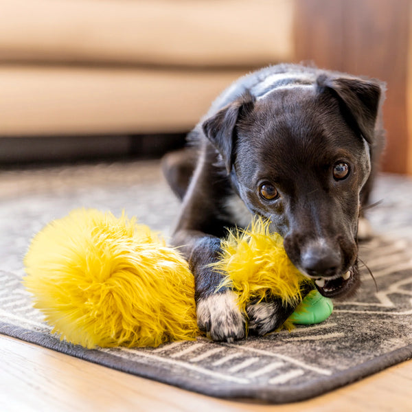 West Paw Rowdies Rough Play Toy - Astrid - Give Paws