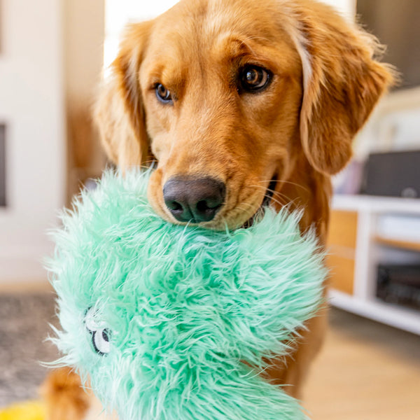 West Paw Rowdies Rough Play Toy - Helga - Give Paws