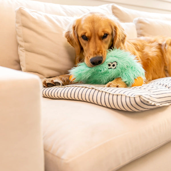 West Paw Rowdies Rough Play Toy - Bjorn - Give Paws