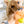 West Paw Rowdies Rough Play Toy - Olaf - Give Paws