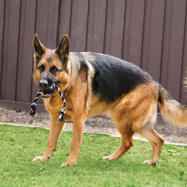KONG Ball with Rope - Extreme - Give Paws