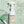 ECODEV Sanitising Floor Cleaner - Give Paws