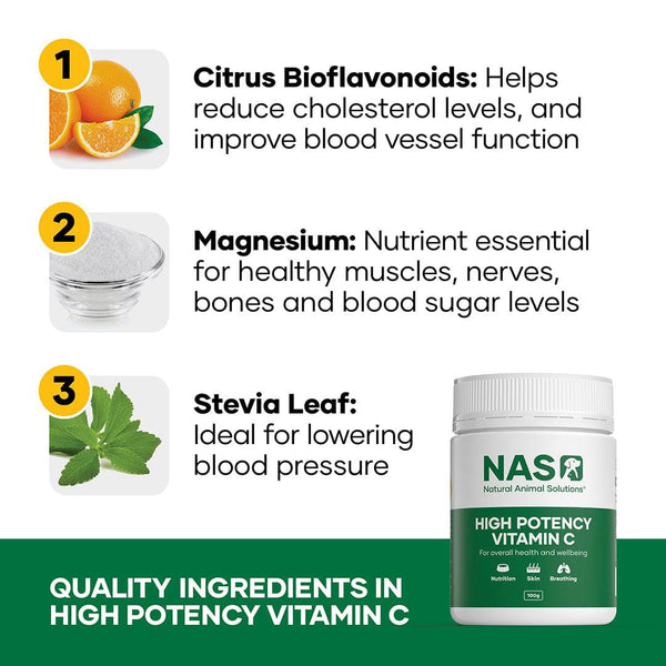 Natural Animal Solution High Potency Vitamin C - Give Paws