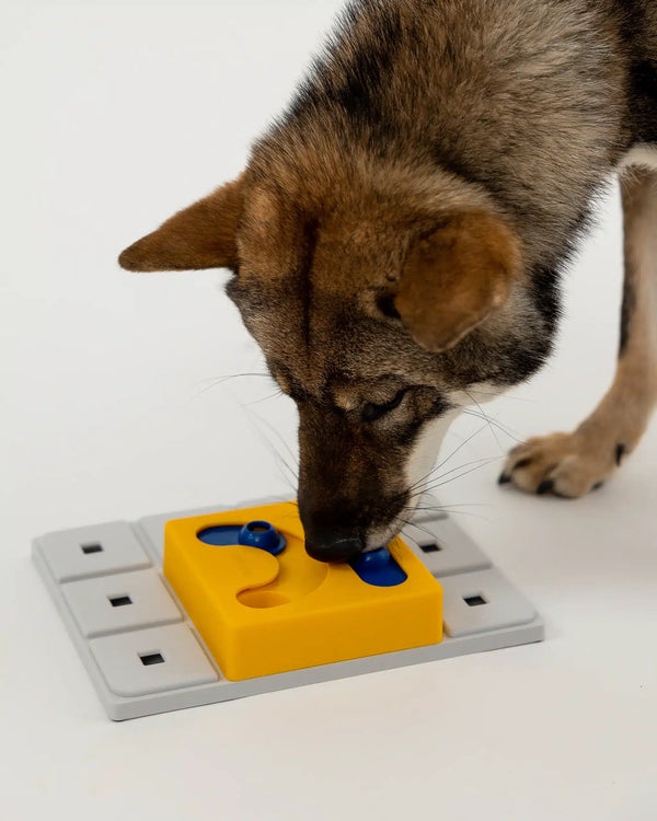 Kaya Pawzle