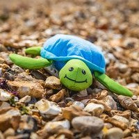 Sustainapaws Turtle 100% Recycled Plastic Double Layered Plush Dog Toy - Give Paws