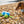 Sustainapaws Turtle 100% Recycled Plastic Double Layered Plush Dog Toy - Give Paws
