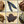 Puppy Pack - Variety Is The Spice of Life