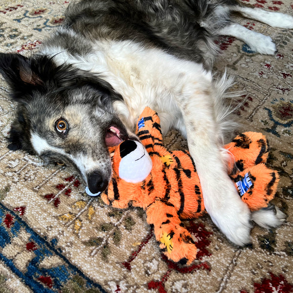 KONG Wild Knots Tiger - Give Paws